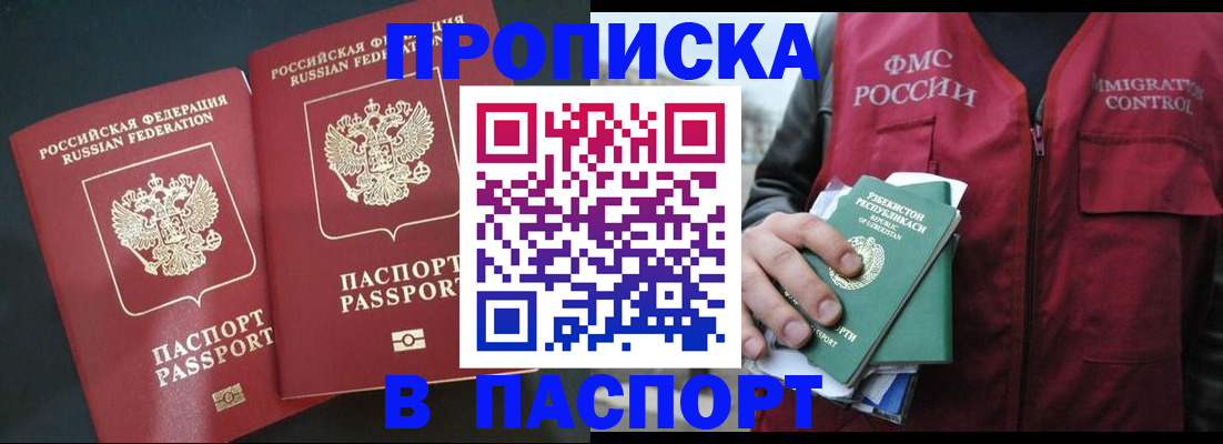 прописка 2025 в Елизово